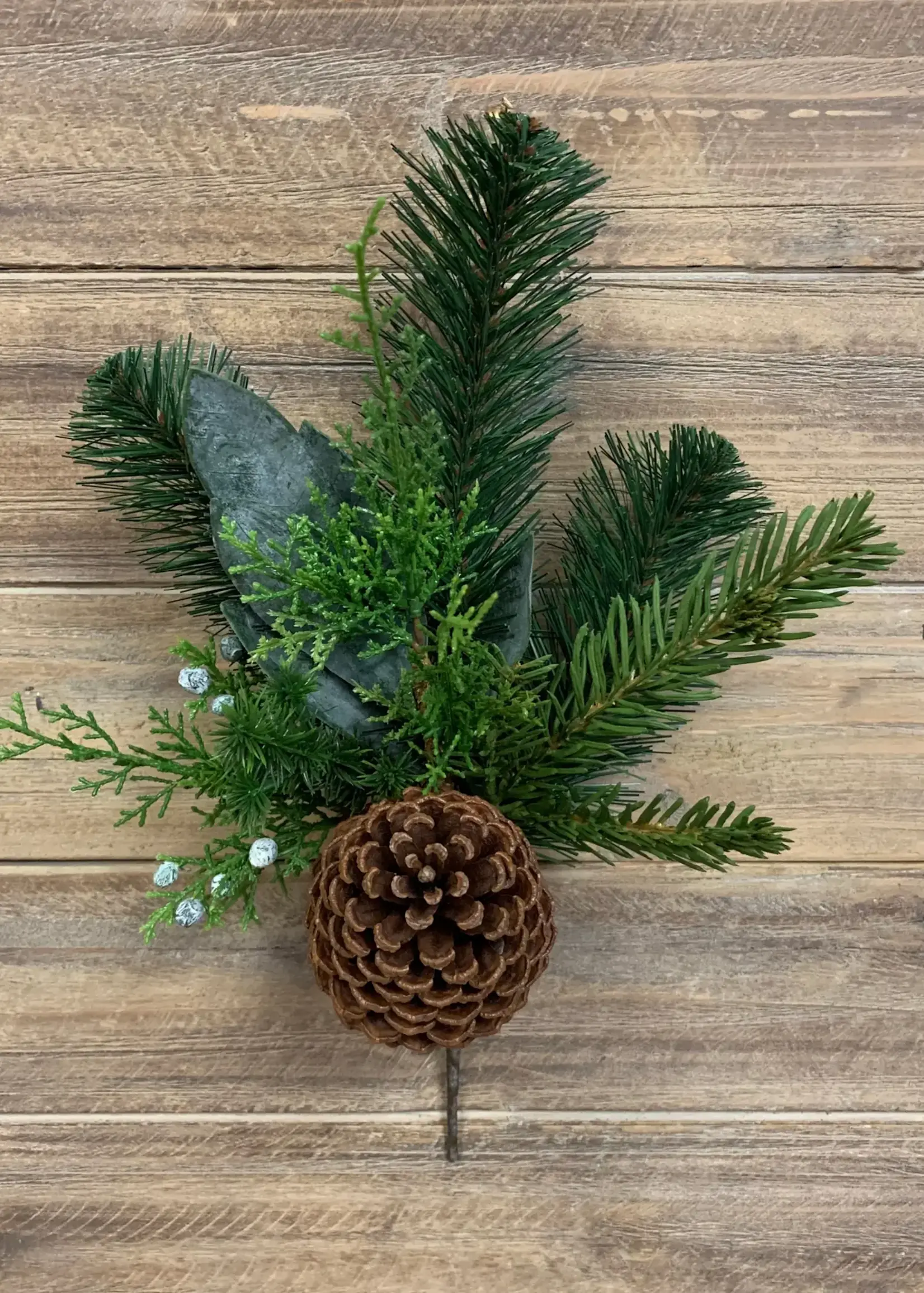 12.5" AUSTRALIAN PINE SPRAY WITH PINE CONE