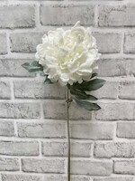 23" SNOWY PEONY STEM