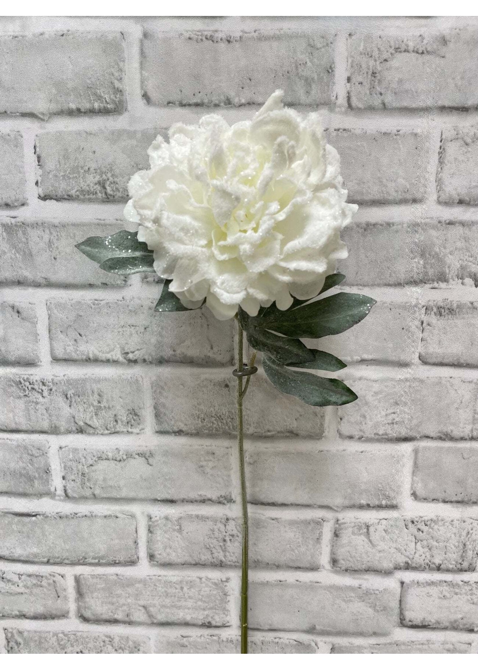 23" SNOWY PEONY STEM