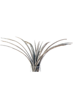 COCO GRASS
