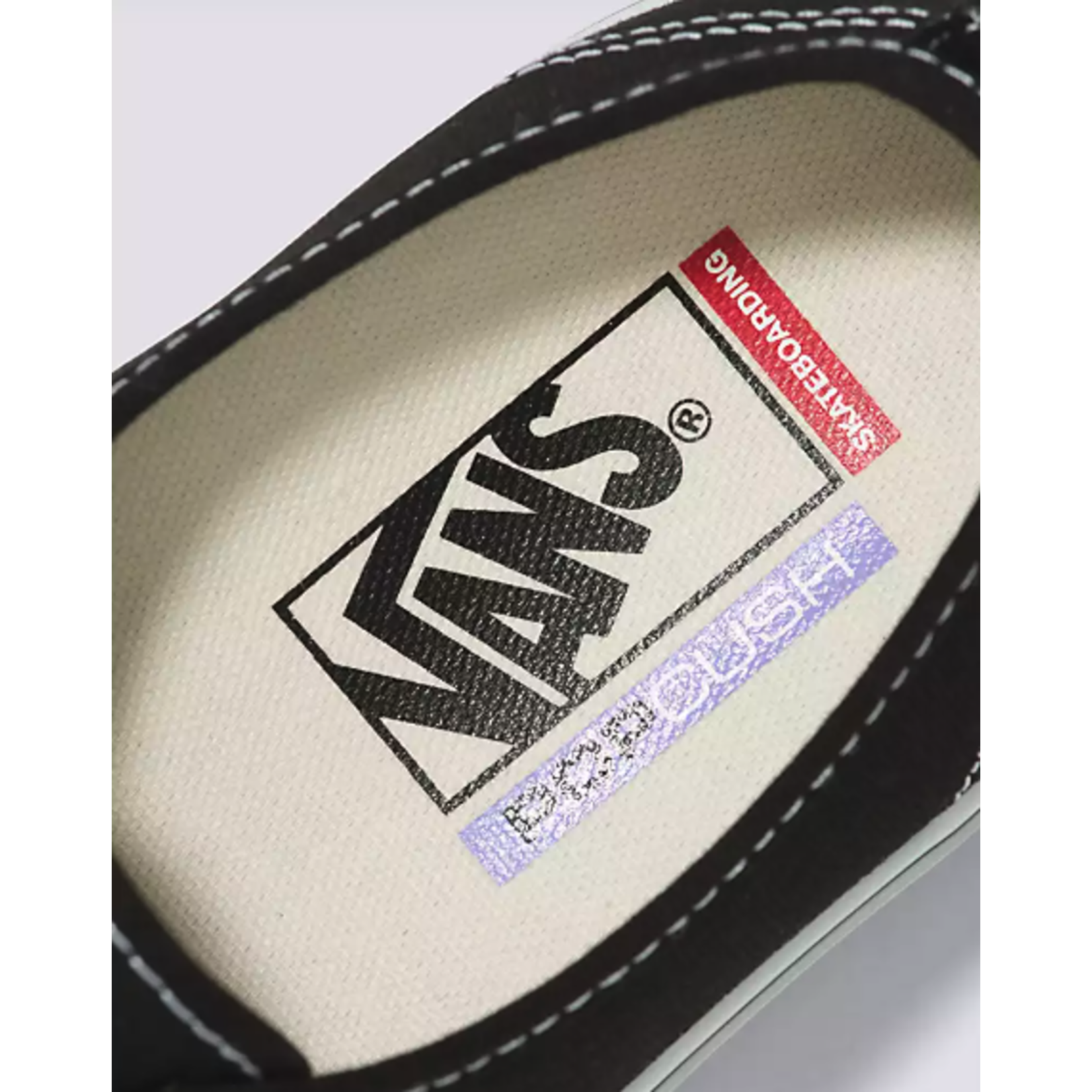 Vans Skate Authentic Shoe