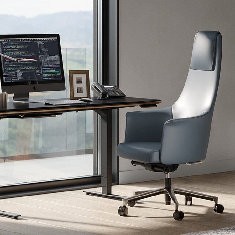 BOLO ADJUSTABLE DESK CHAIR