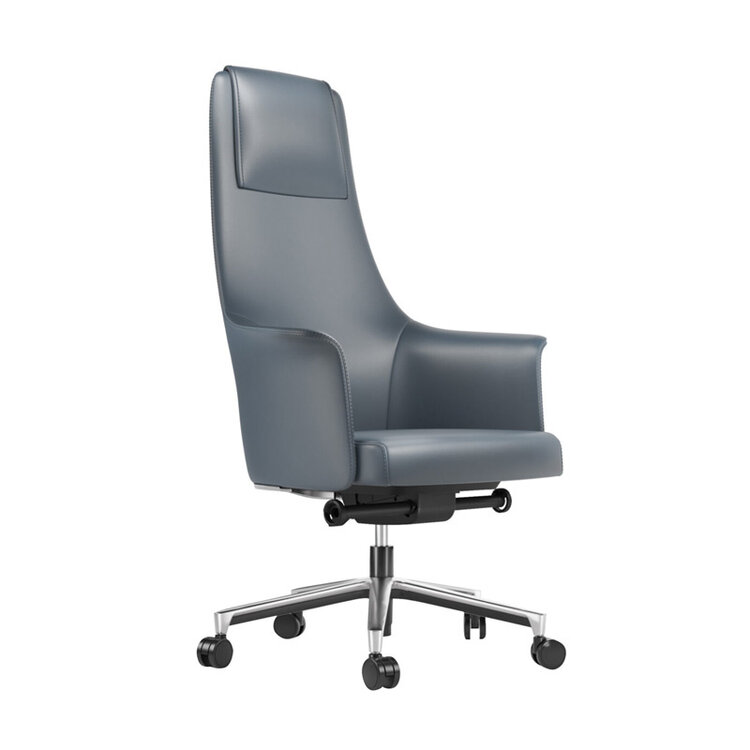 BOLO ADJUSTABLE DESK CHAIR