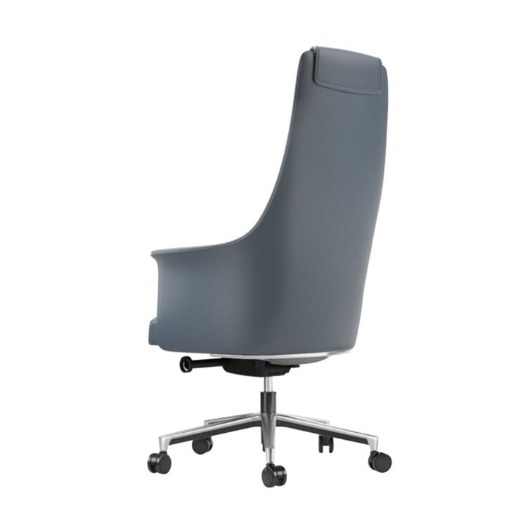 BOLO ADJUSTABLE DESK CHAIR