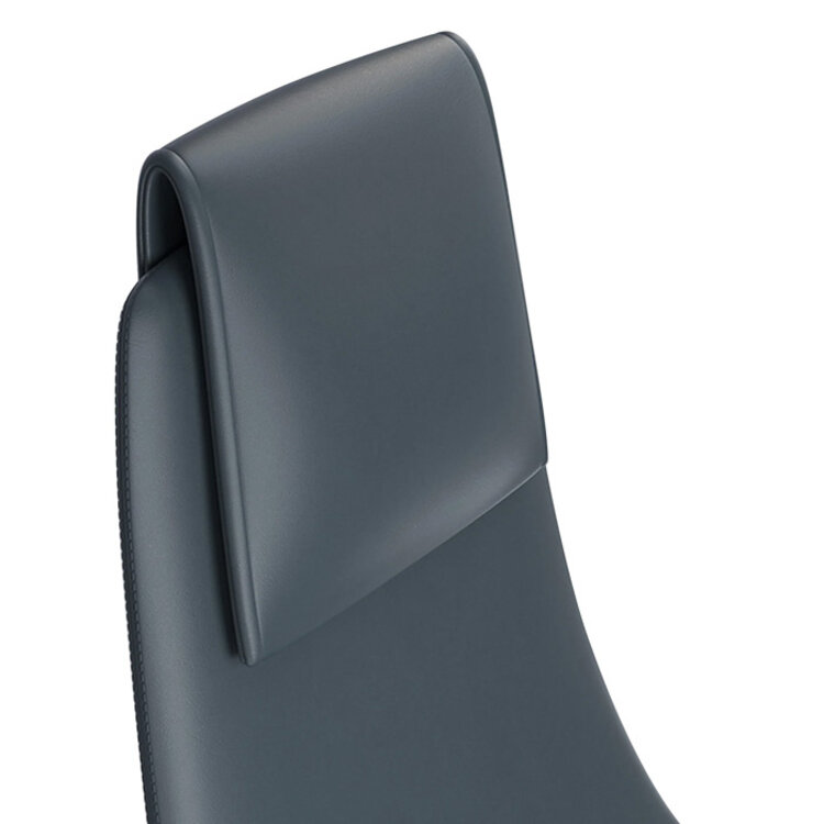 BOLO ADJUSTABLE DESK CHAIR