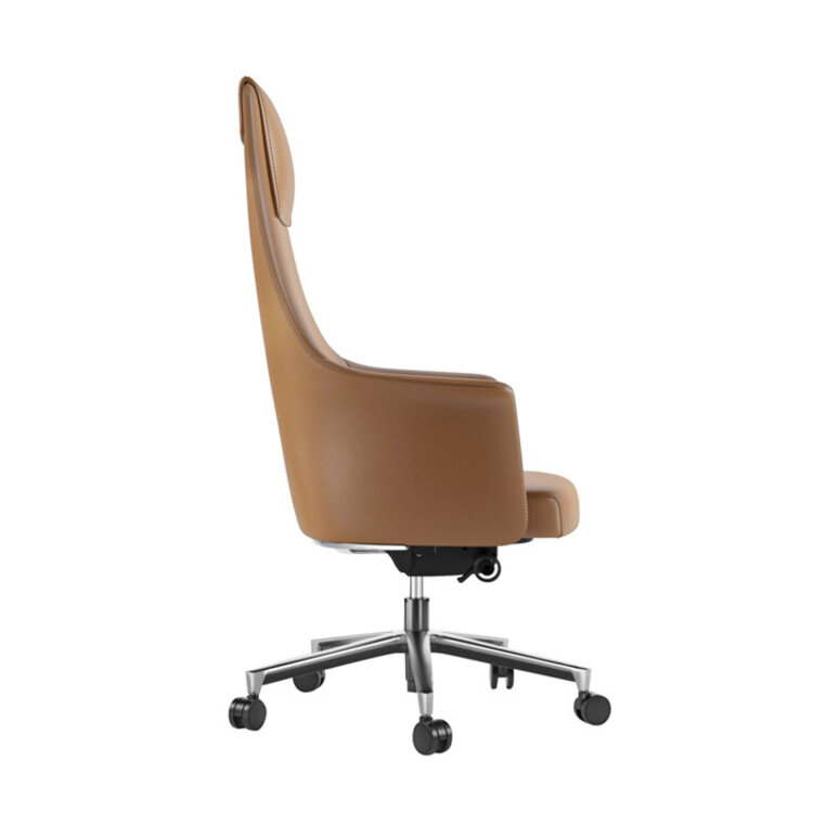 BOLO ADJUSTABLE DESK CHAIR