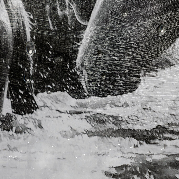 WATER HORSES III GLASS FRAMED DIPTYCH PRINT