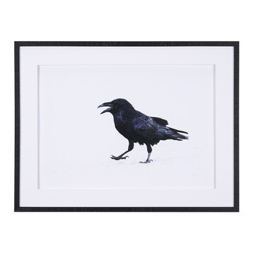 RAVEN BEAUTY FRAMED PRINT