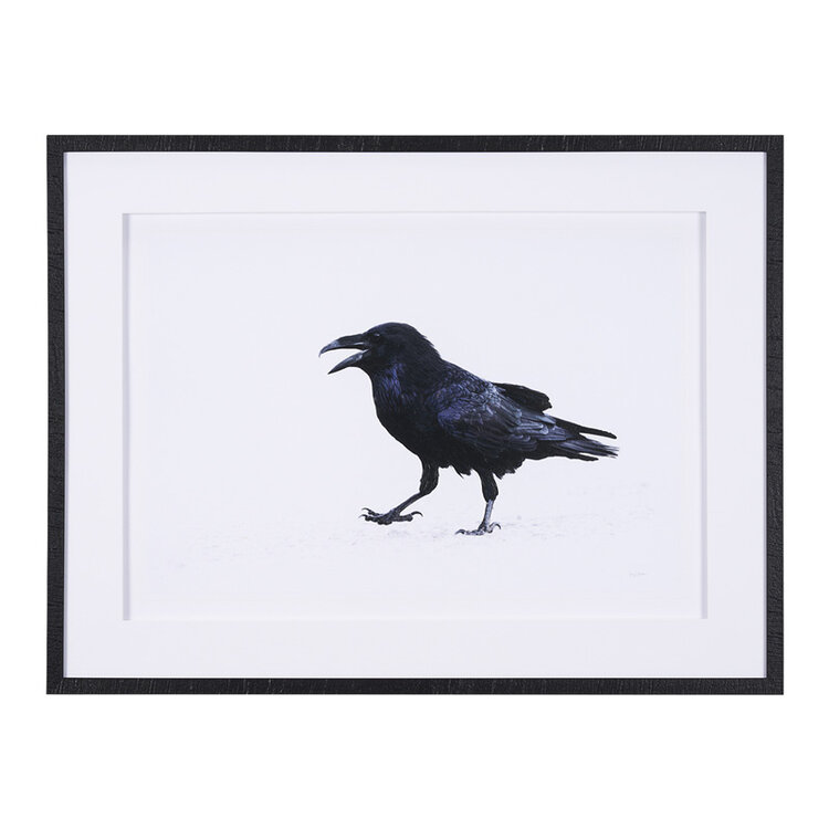 RAVEN BEAUTY GLASS FRAMED PRINT