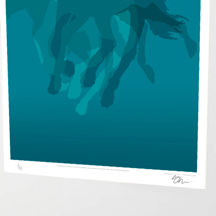 CHINCOTEAGUE 100th PONY SWIM SPECIAL EDITION