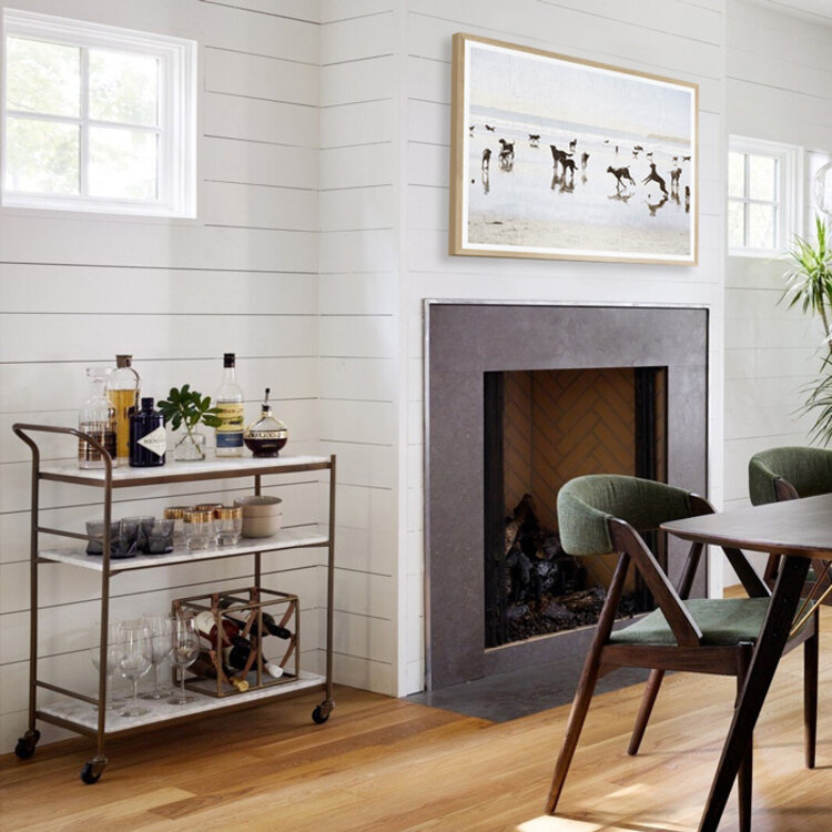 DOGS DAY FRAMED PRINT