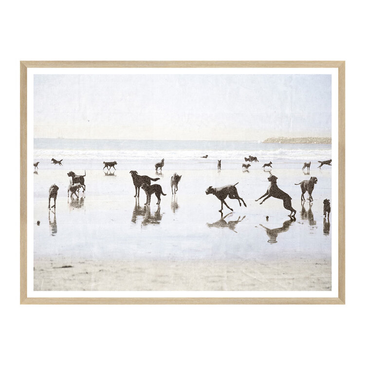 DOGS DAY FRAMED PRINT