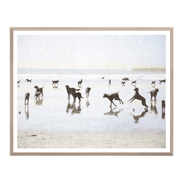 DOGS DAY FRAMED PRINT
