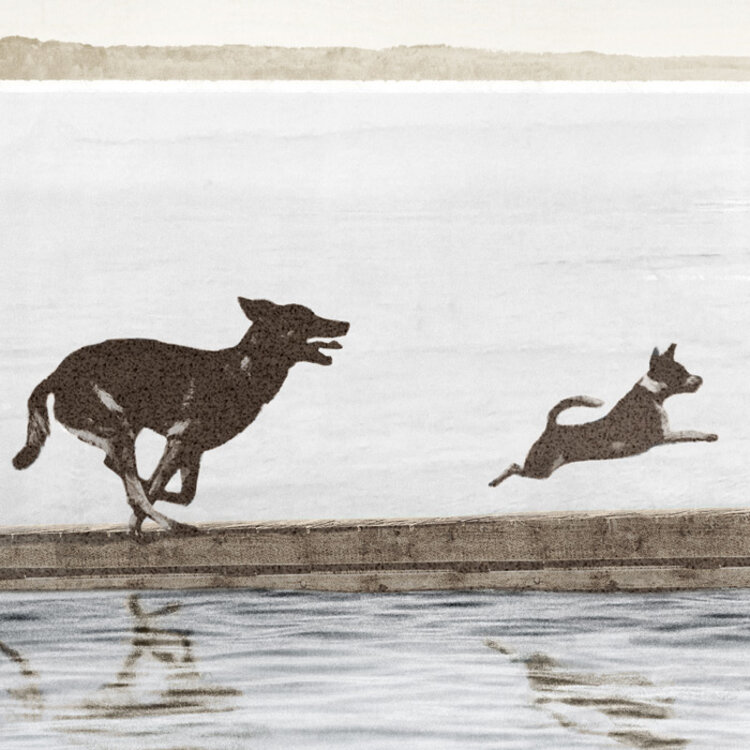 DOGS DAY FRAMED PRINT