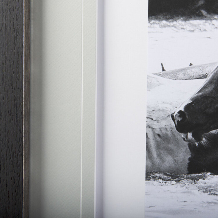 WATER HORSES III GLASS FRAMED PRINT