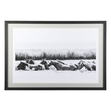 WATER HORSES III GLASS FRAMED