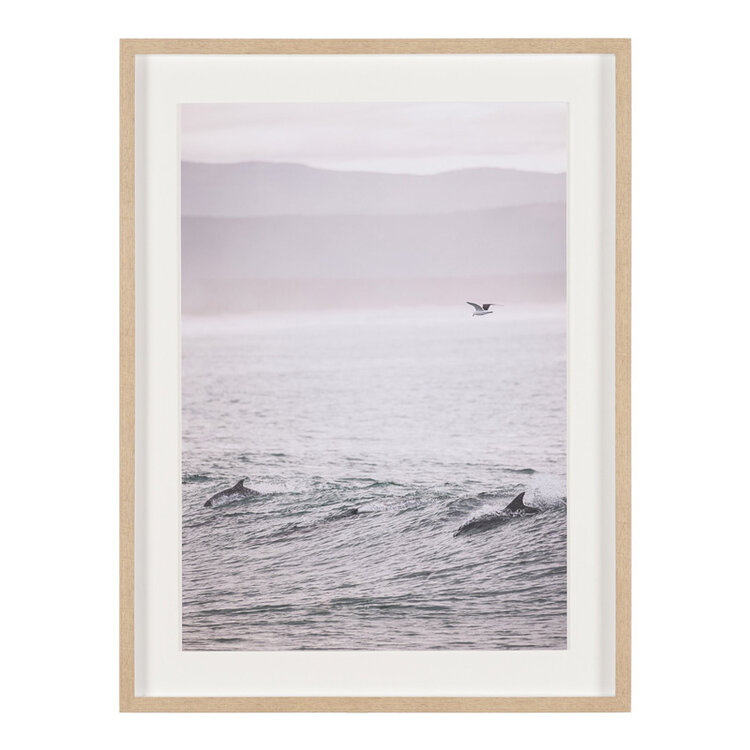 SERENE SCENES FRAMED PRINTS