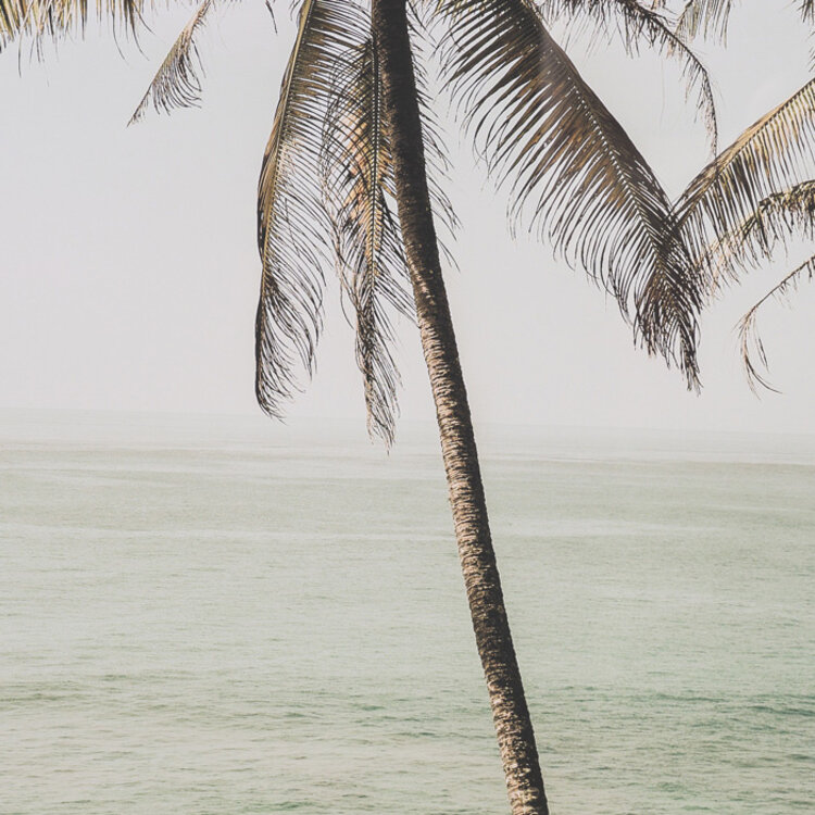 SERENE SCENES FRAMED PRINTS