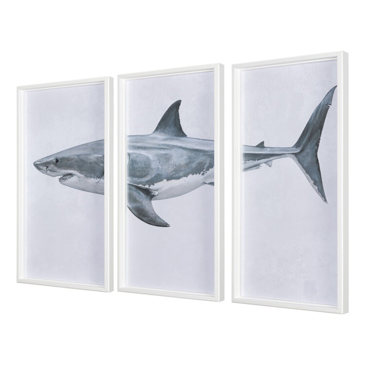 GREAT WHITE SHARK FRAMED TRIPTYCH