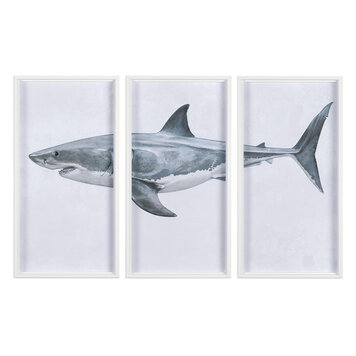 GREAT WHITE SHARK FRAMED TRIPTYCH