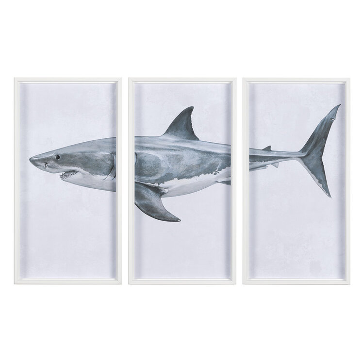 GREAT WHITE SHARK FRAMED TRIPTYCH