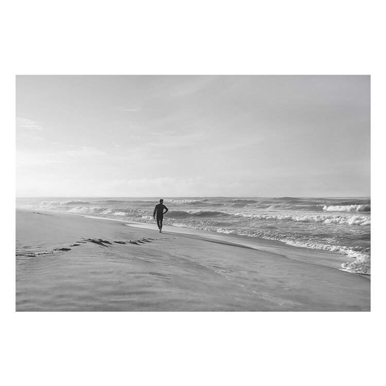 SURF CANVASES