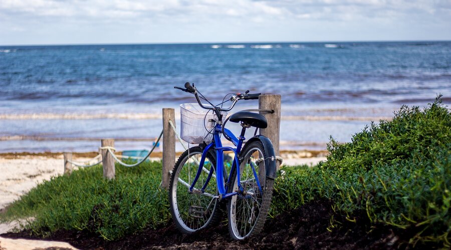Unlock the Joy of Biking: Explore Nova Scotia's Stunning Outdoors with Bike Rentals in Halifax