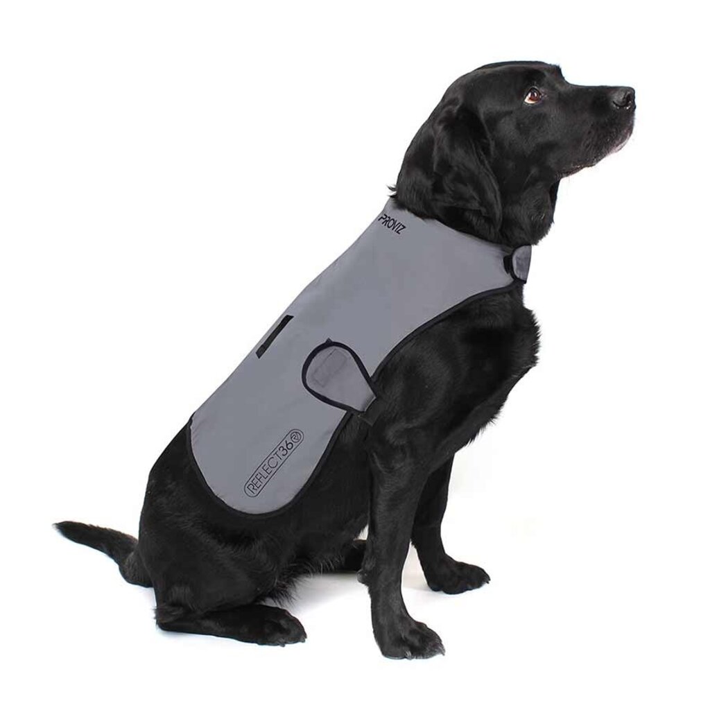 Proviz Proviz Dog Cover