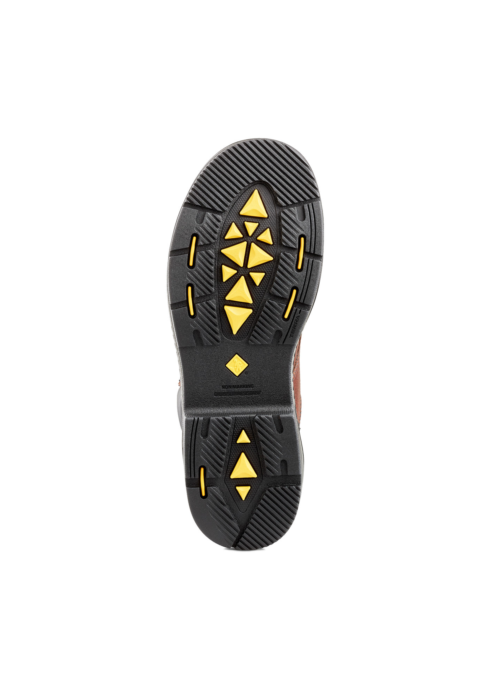 Terra Terra Patton 6"