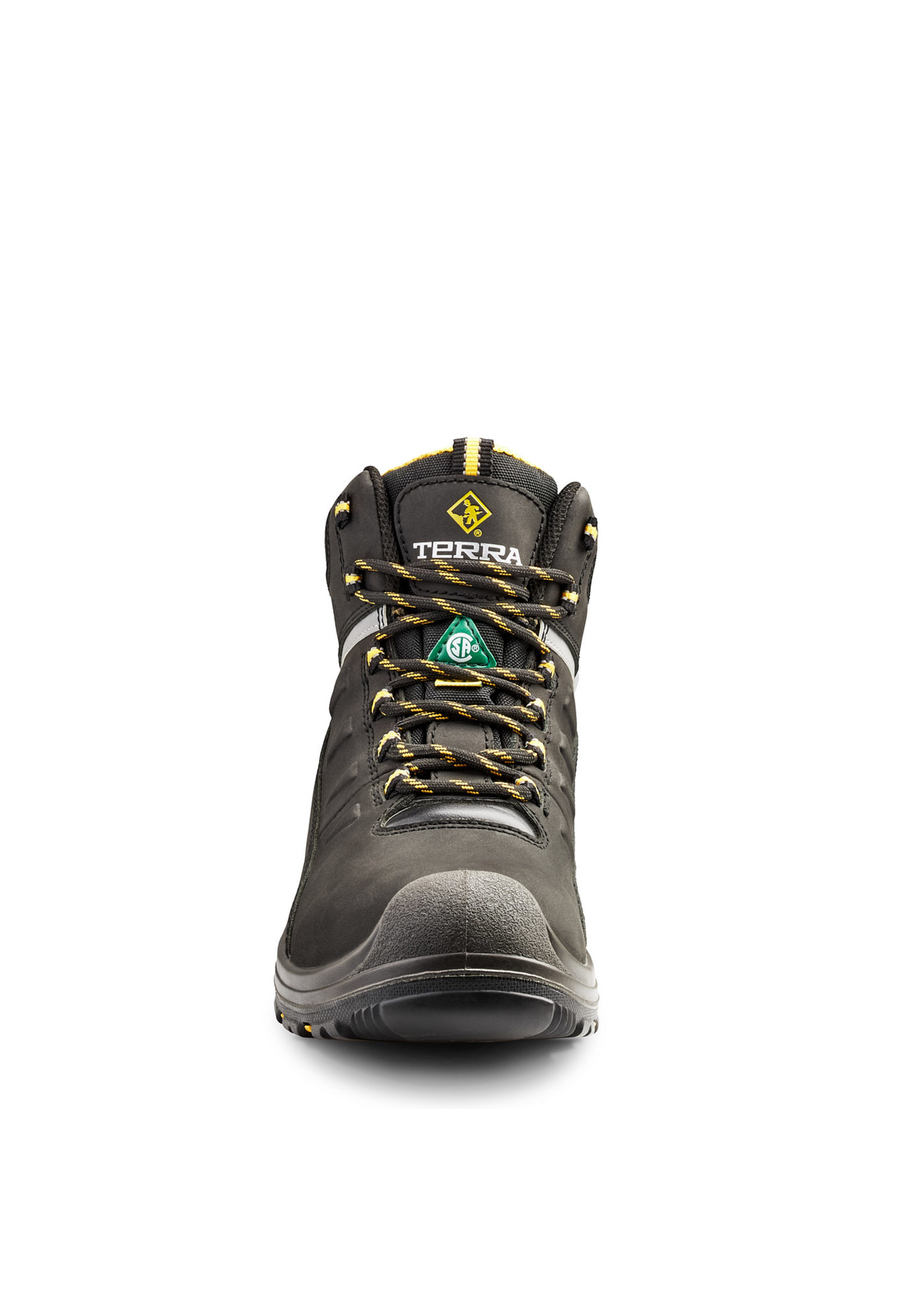 Terra Terra Findlay 6"