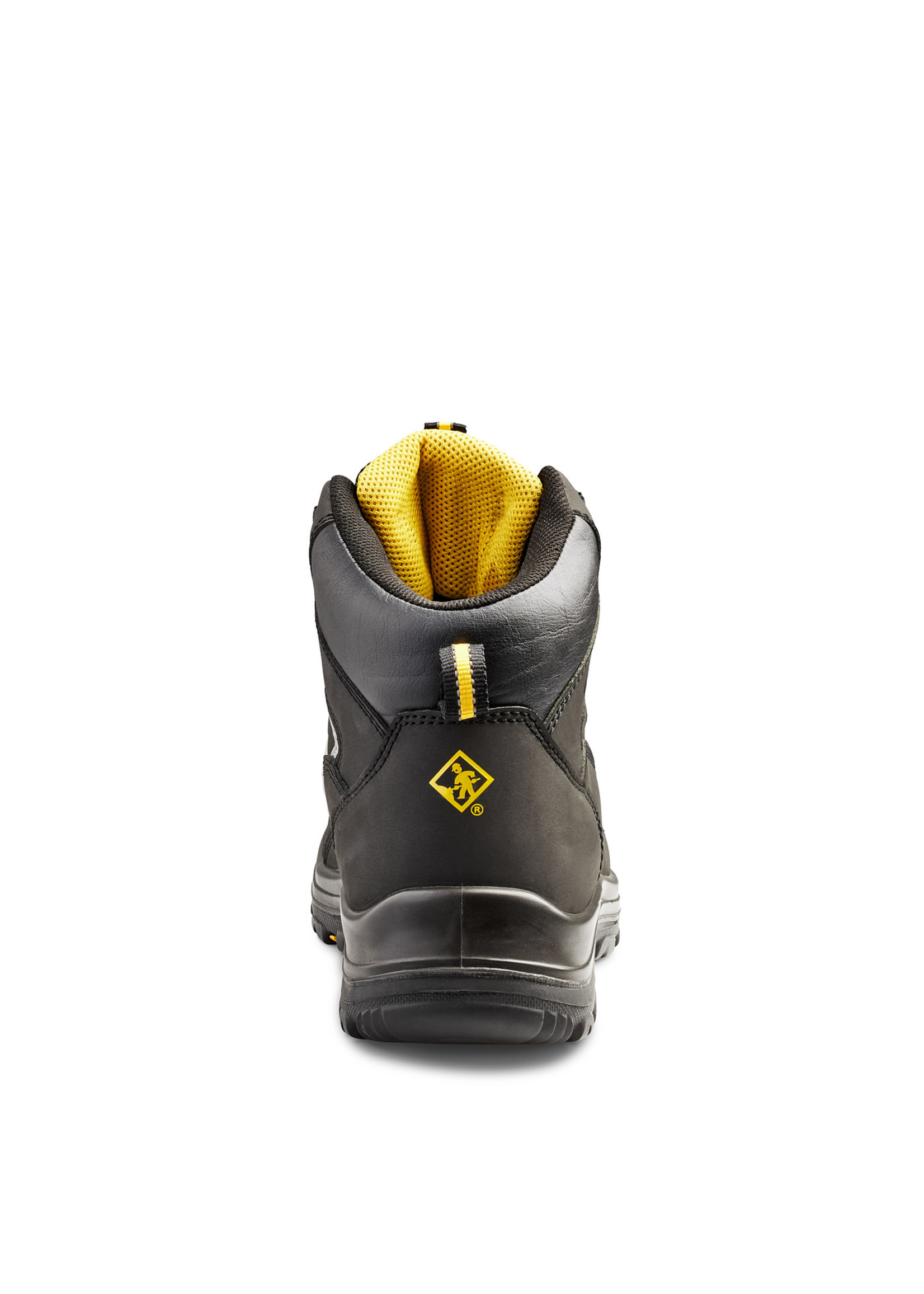 Terra Terra Findlay 6"