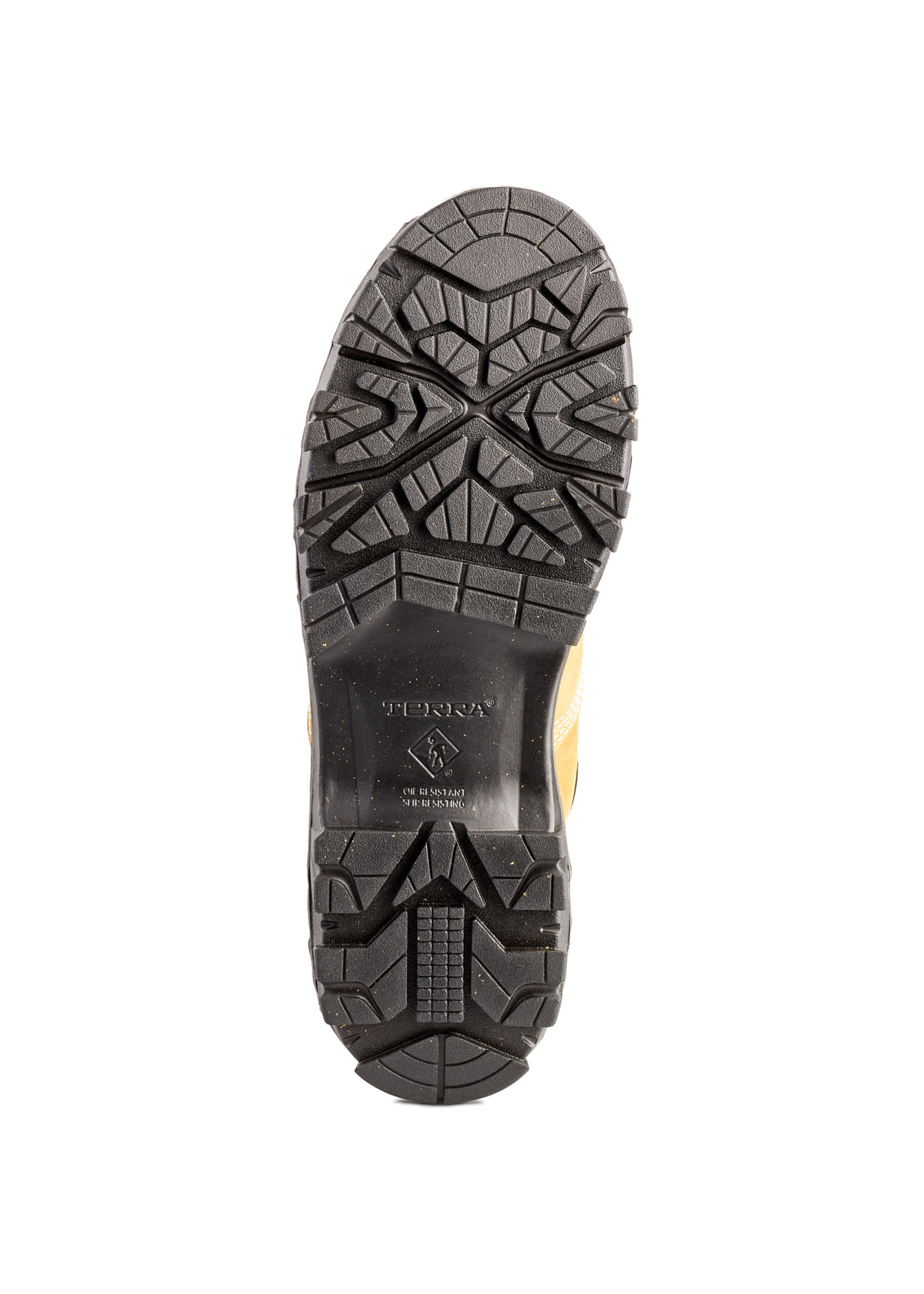 Terra Terra Sentry 2020 6"