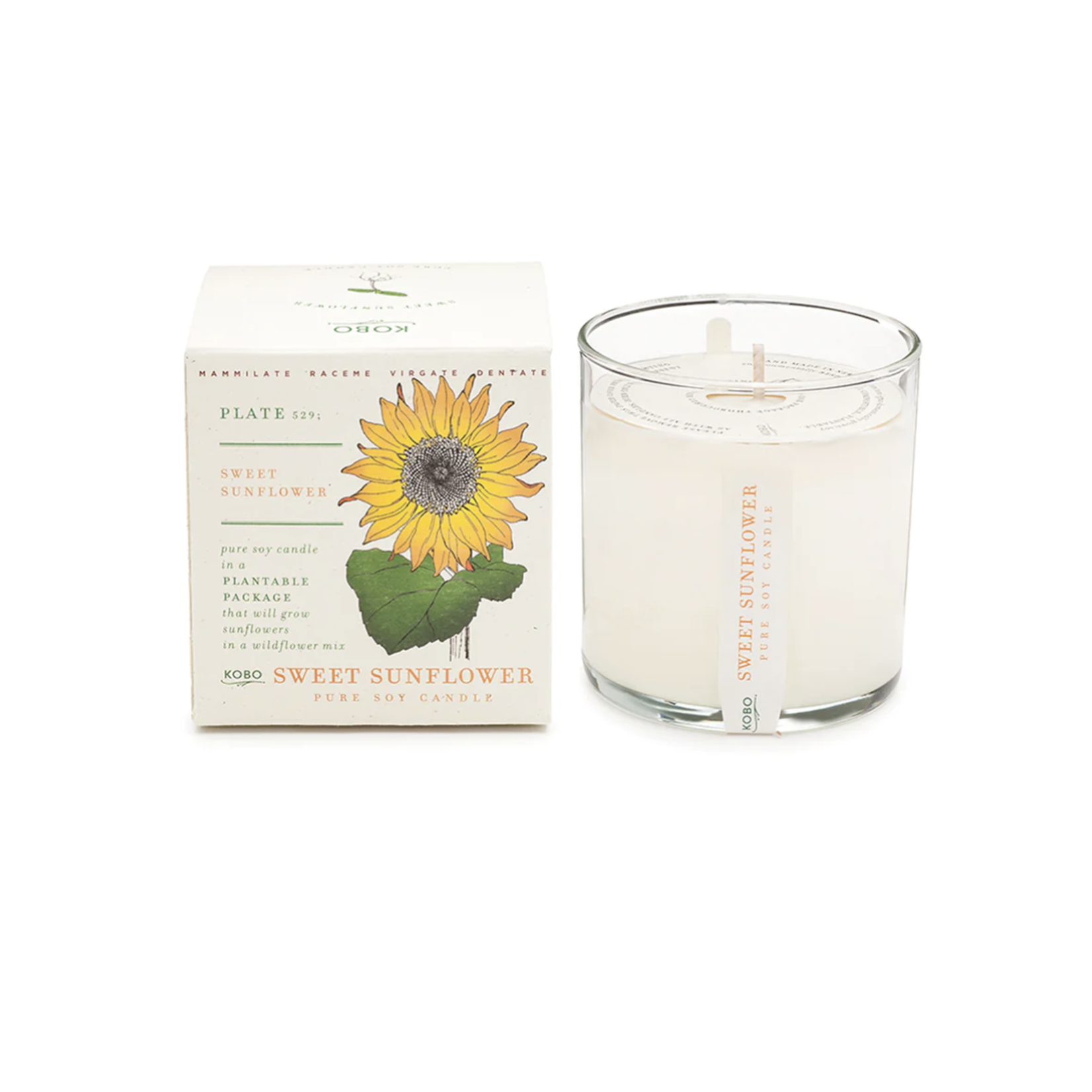 Plant the Box Candle Sunflower