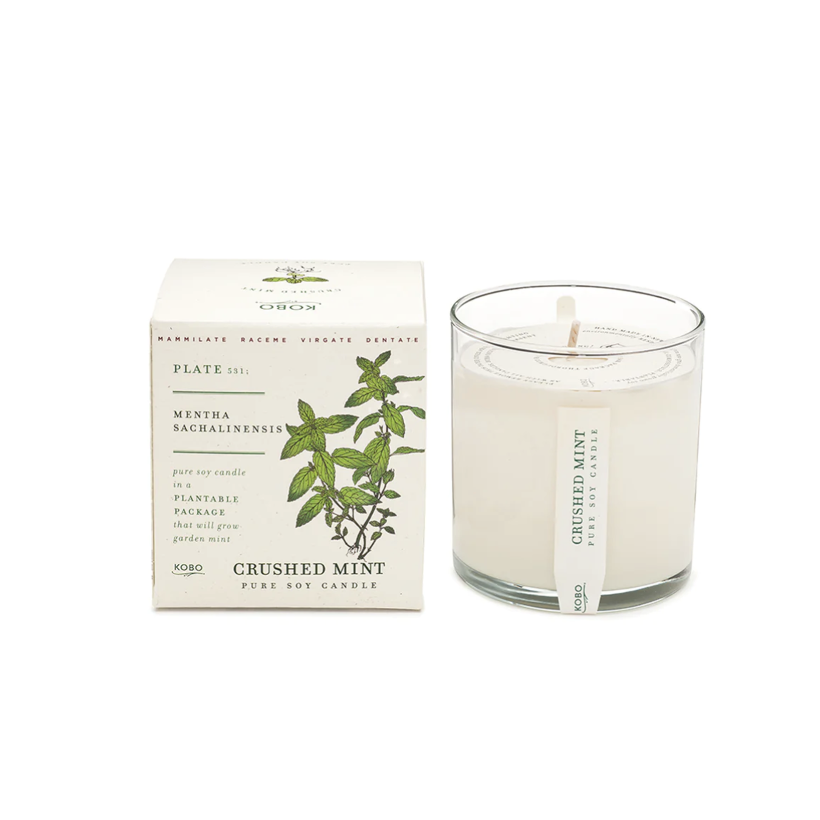 Plant the Box Candle Mint