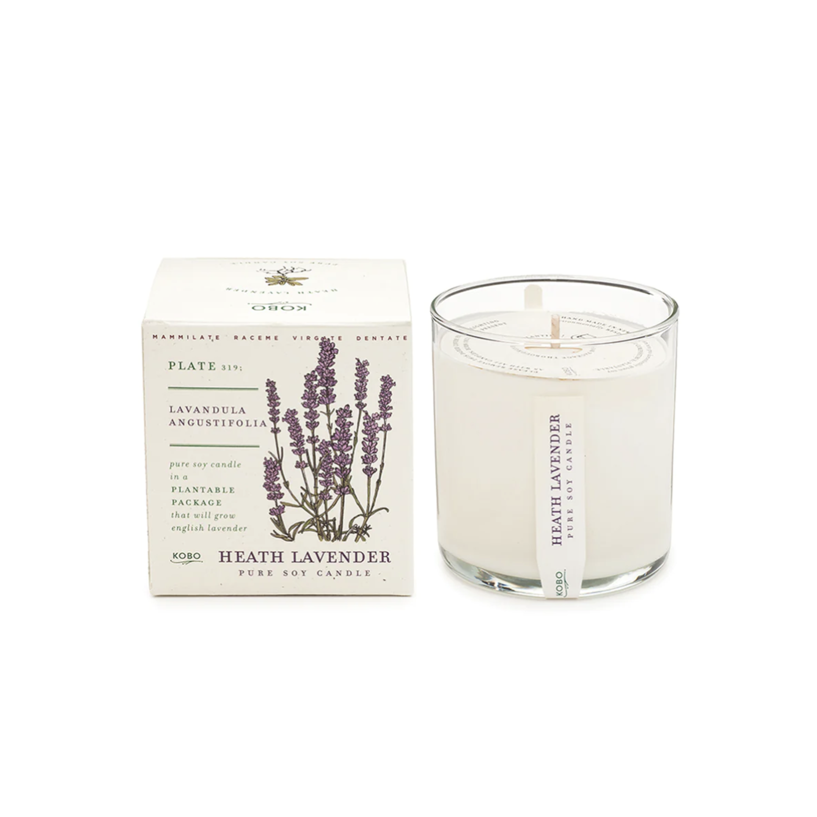 Plant the Box Candle Lavender