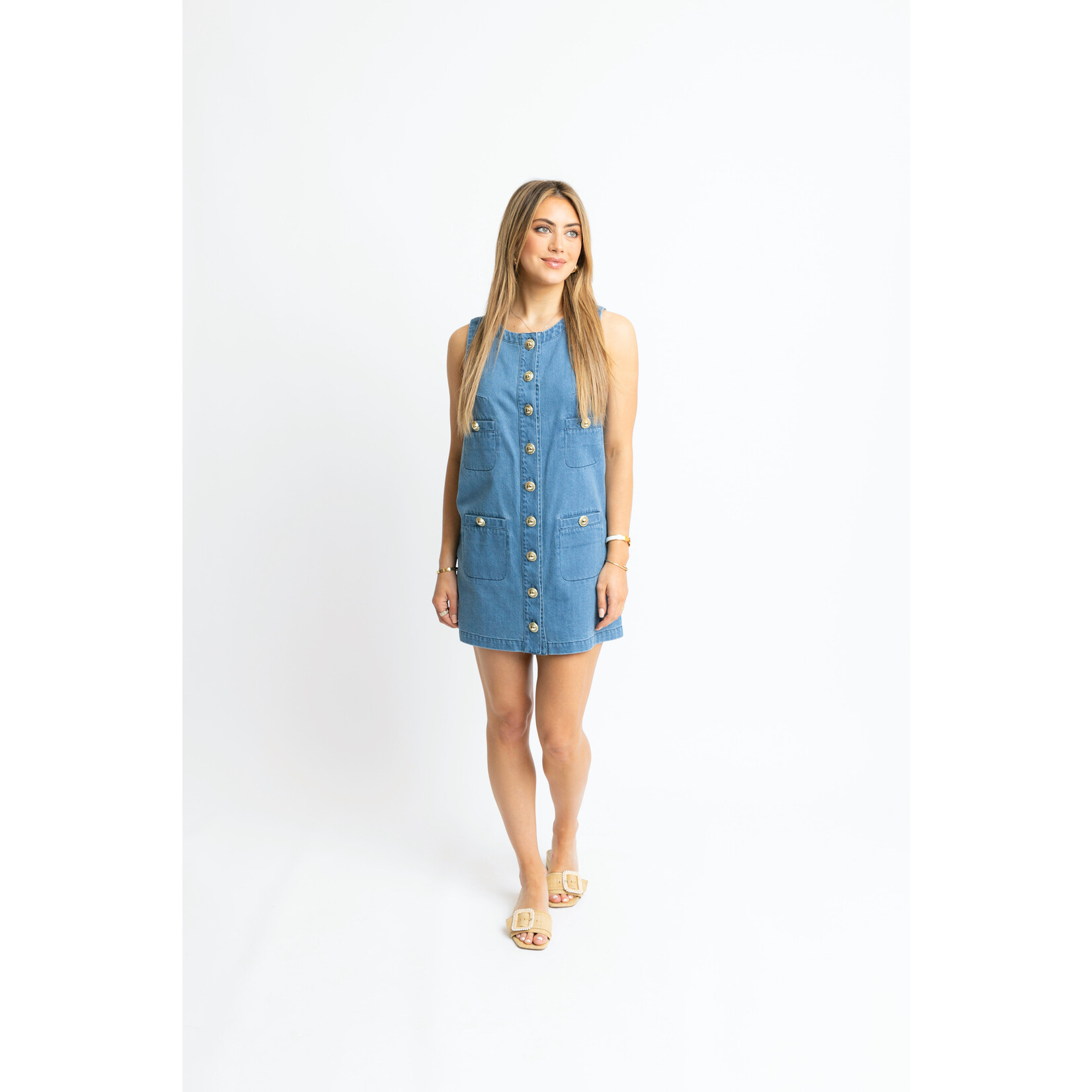 Ruth Denim Dress