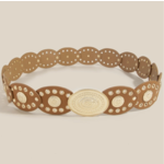 Oval Disc Link Belt