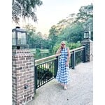Iggy blue Gingham Dress