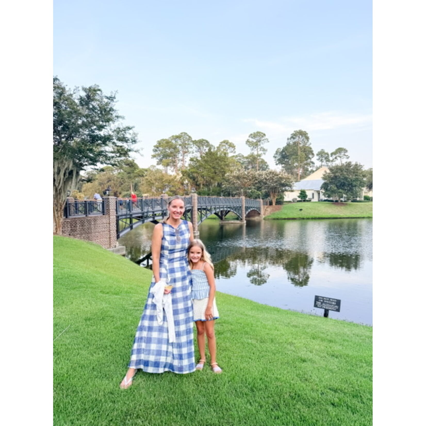 Iggy blue Gingham Dress