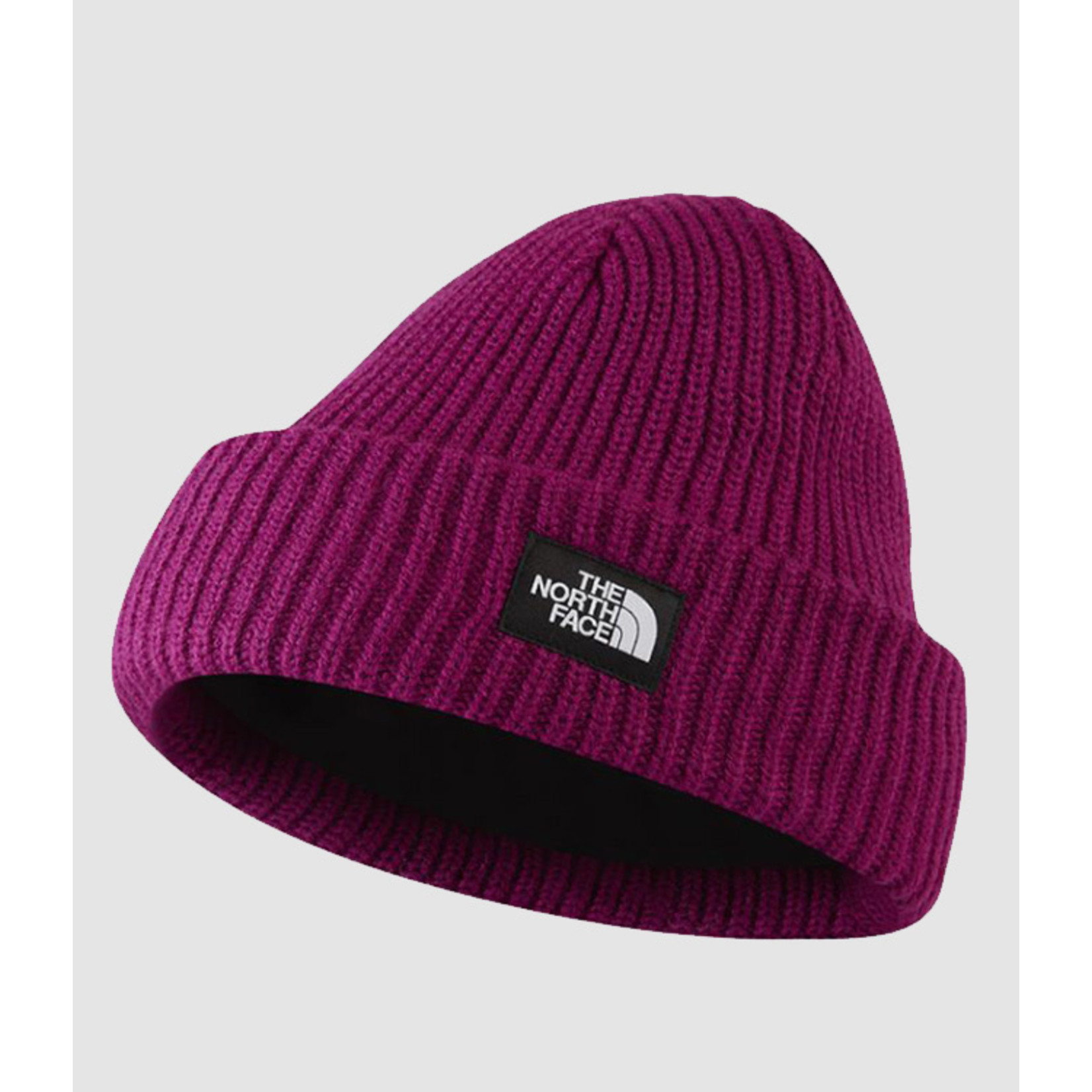 THE NORTH FACE SALTY DOG BEANIE