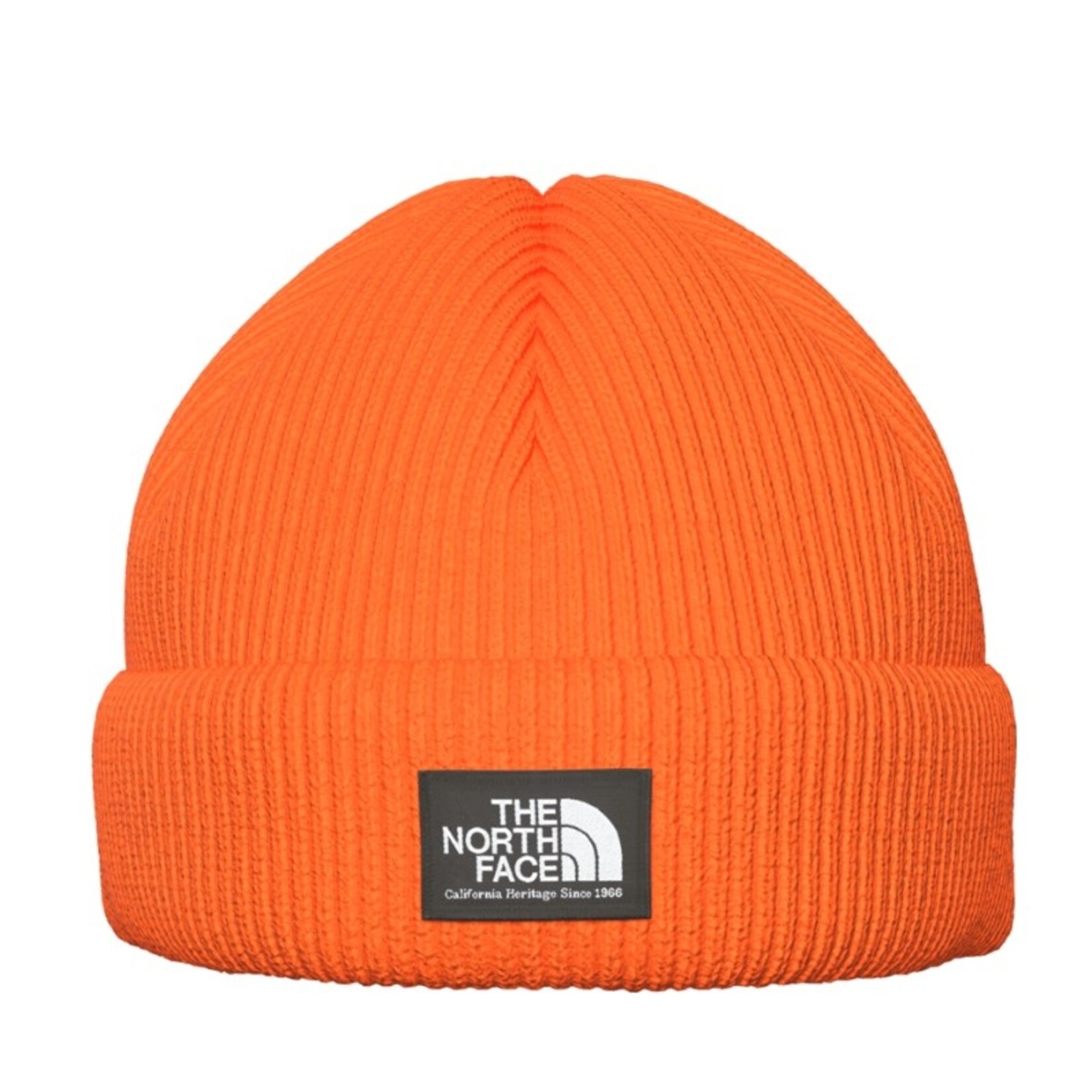 THE NORTH FACE Salty Dog Lined Beanie