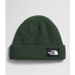 THE NORTH FACE Salty Dog Lined Beanie