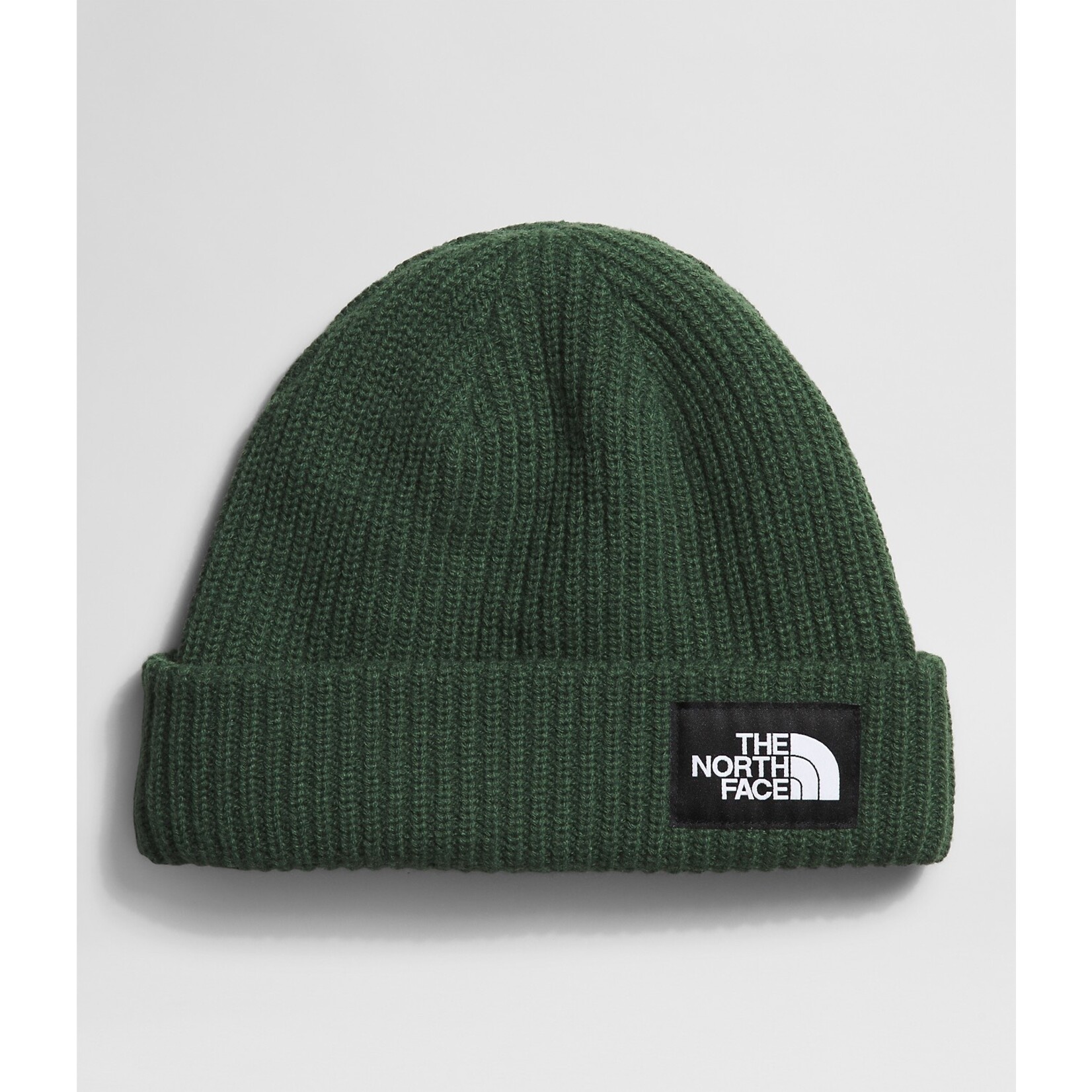 THE NORTH FACE Salty Dog Lined Beanie