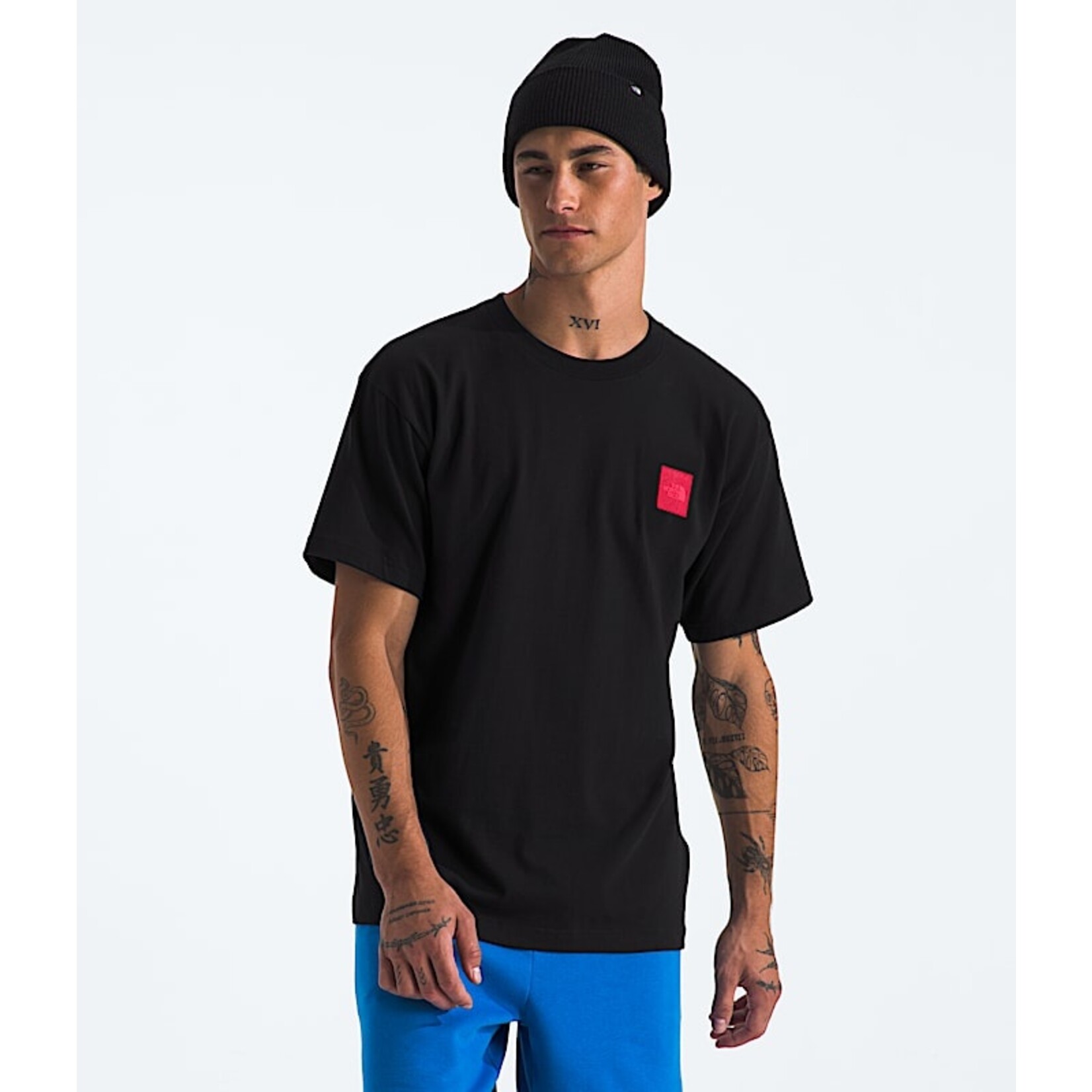 THE NORTH FACE Men's S/S 40th Anniversary Mountain Jacket Heavyweight Tee—Graphic - 2025