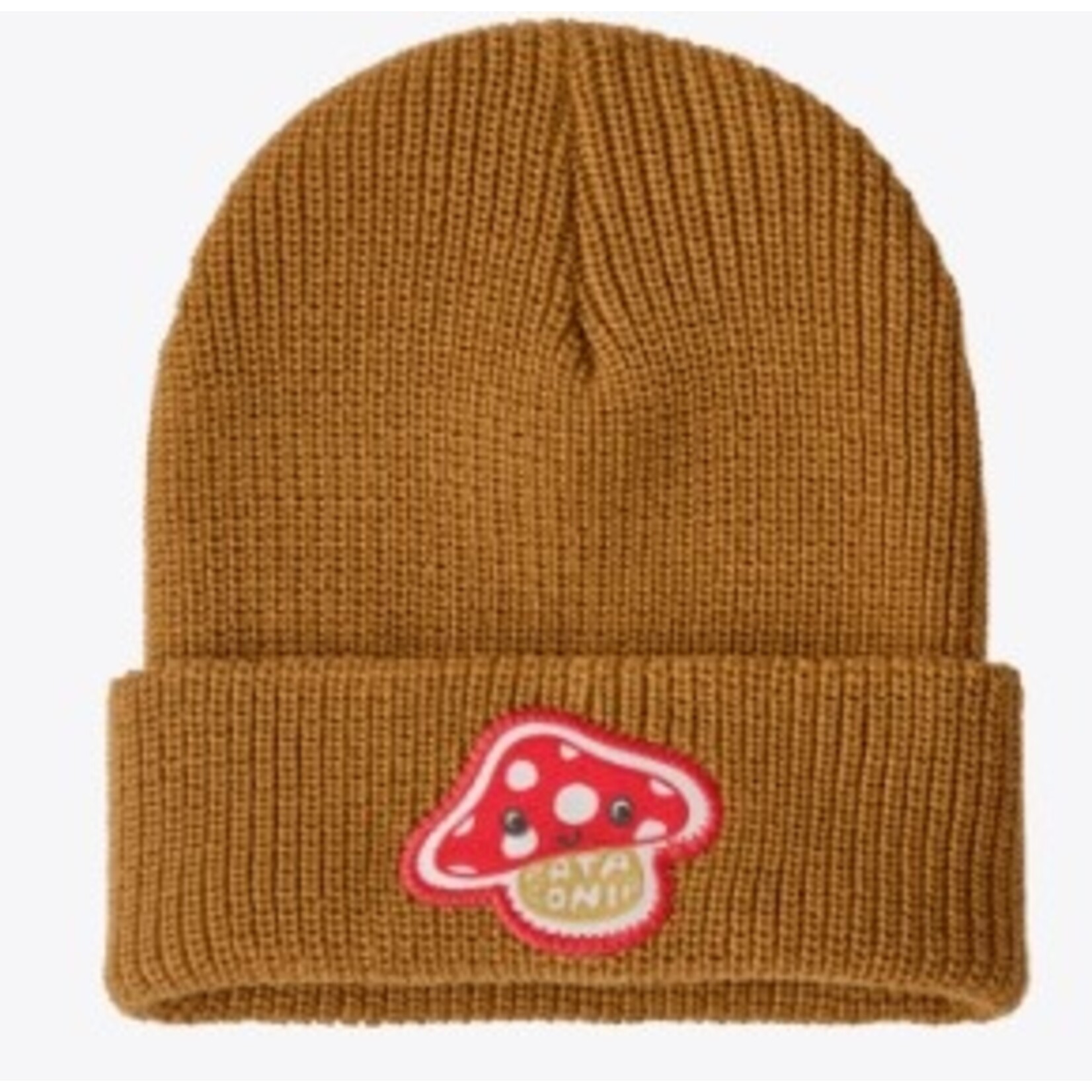 PATAGONIA Kids Logo Beanie - Amanita Rita Patch: Talon Gold - 2026