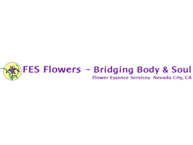 FES