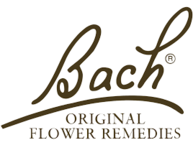 Nelson Bach