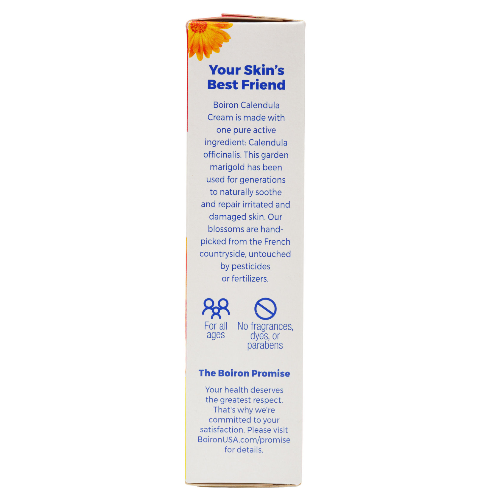 Boiron Calendula Cream 2.5oz Boiron