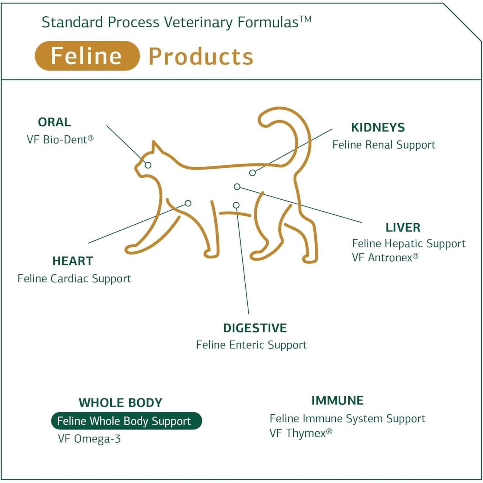 Standard Process Feline Whole Body Support  Standard Process