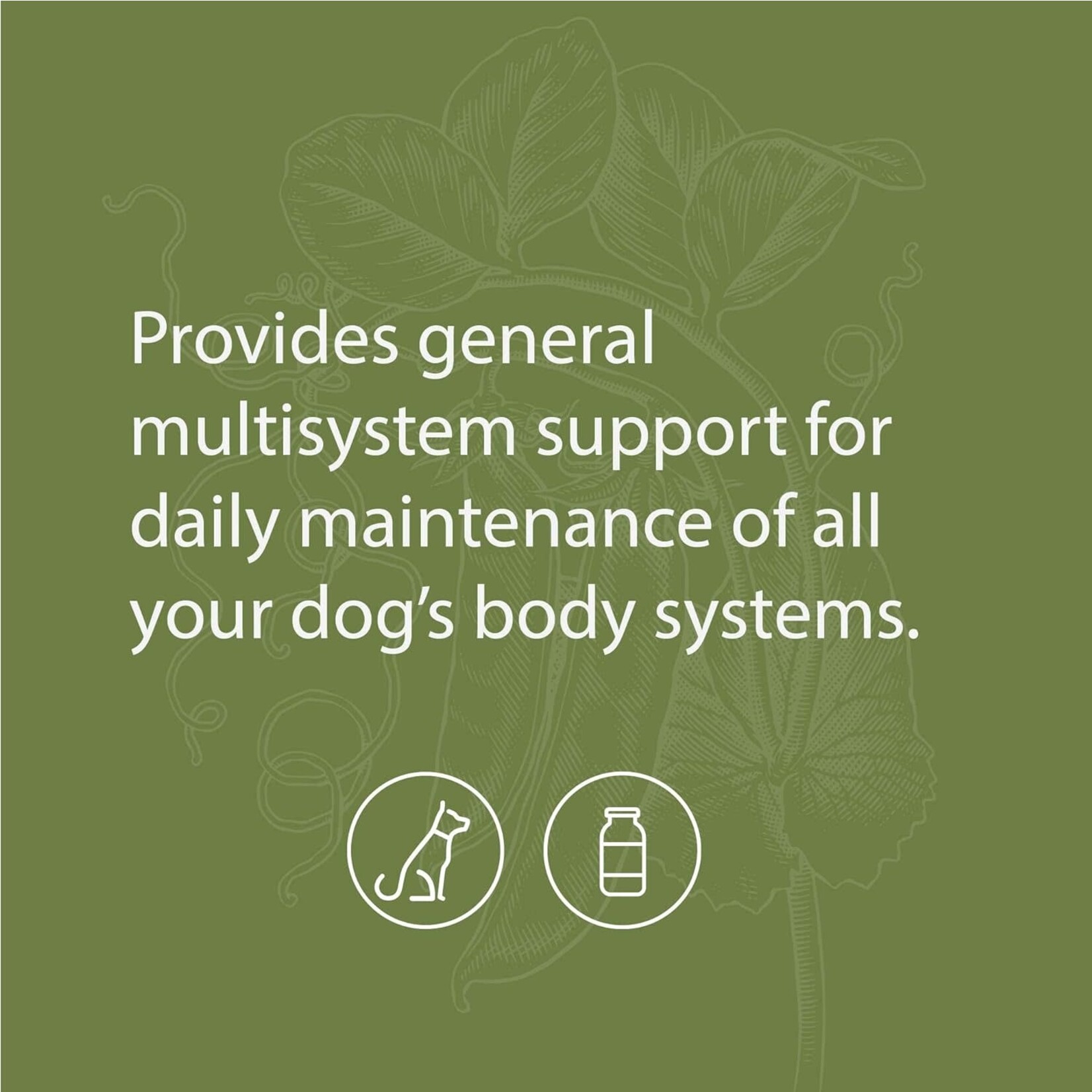 Standard Process Canine Whole Body Support 25g Standard Process
